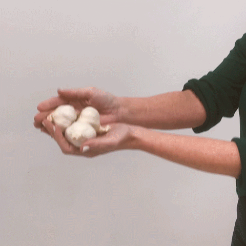 Garlic Video