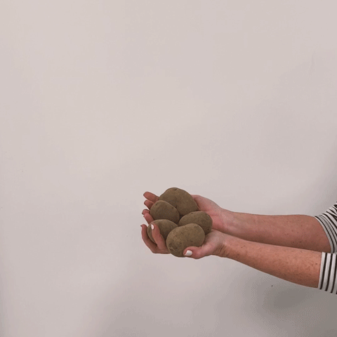 Potatoe Video
