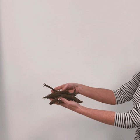 Virginia Blue Bells Video