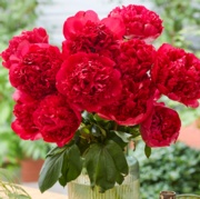 Picture of a 6