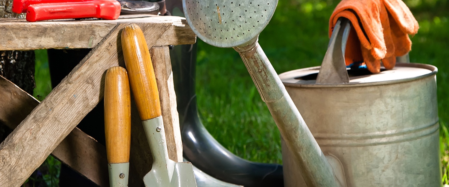 SPRING PLANTING: Getting Down to the Basics