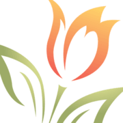 VanZyverden logo